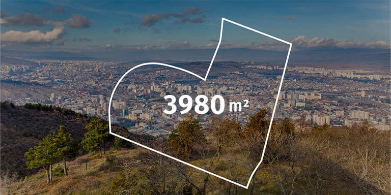 მიწის ნაკვეთი 35